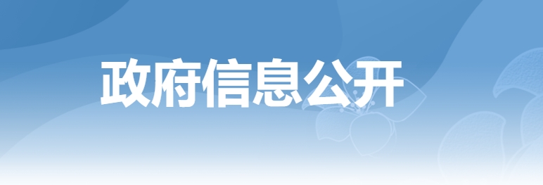 深圳市互联网软件知识产权保护若干规定